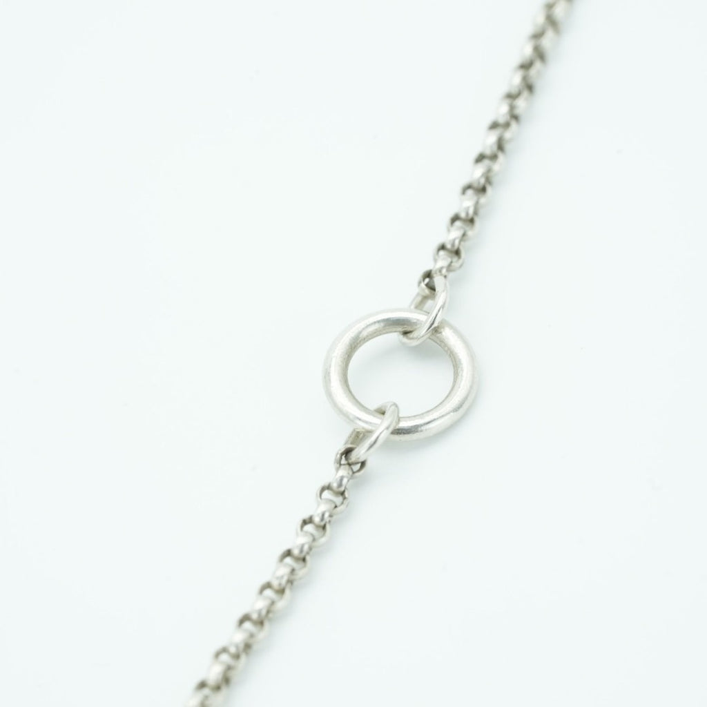 HERMES エクスリブリスMM ネックレス ネックレス コイン シルバー箱