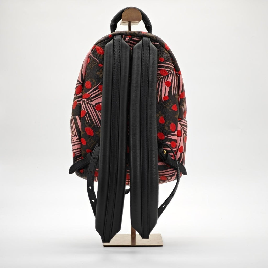 ルイ・ヴィトン パームスプリングス・バックパック M41981リュック ブラウン