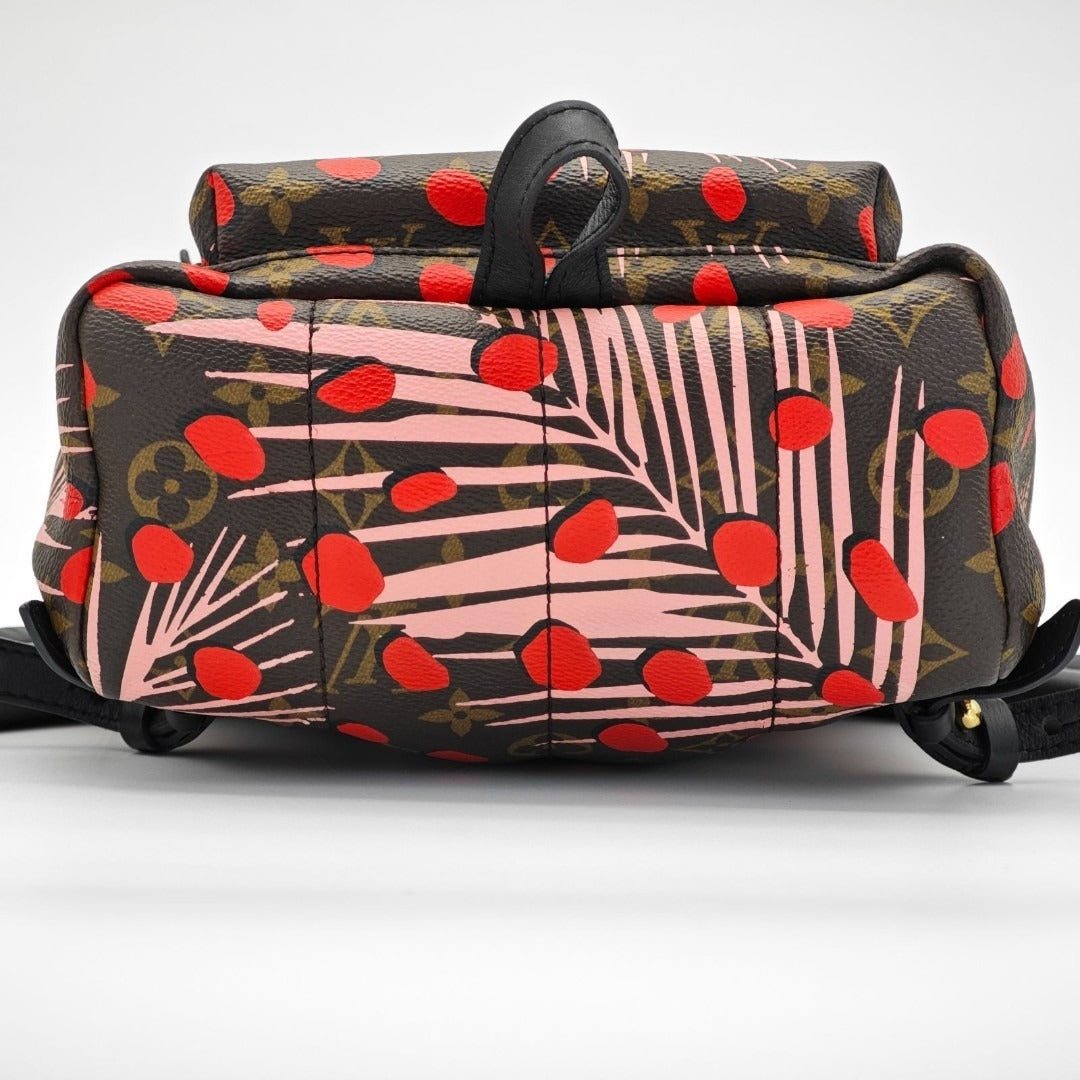 ルイ・ヴィトン パームスプリングス・バックパック M41981リュック ブラウン