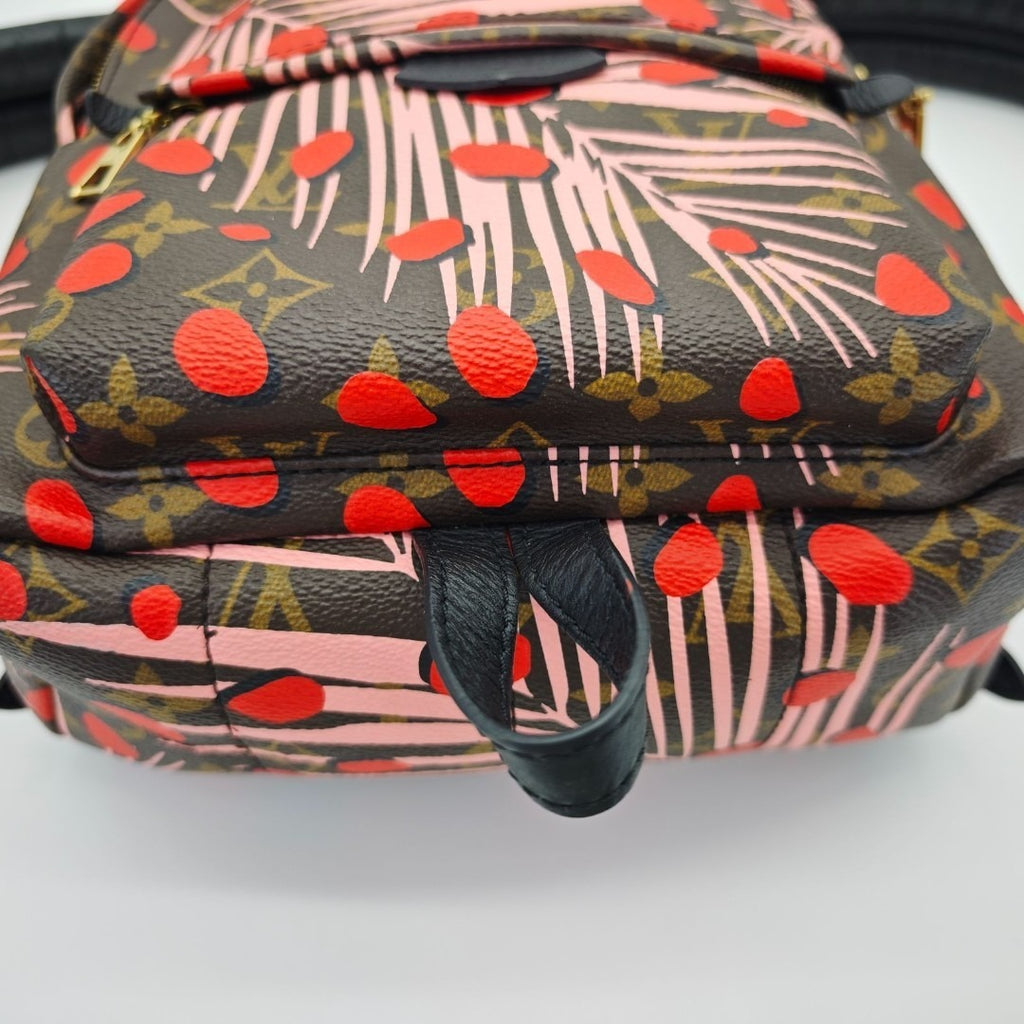 ルイ・ヴィトン パームスプリングス・バックパック M41981リュック ブラウン