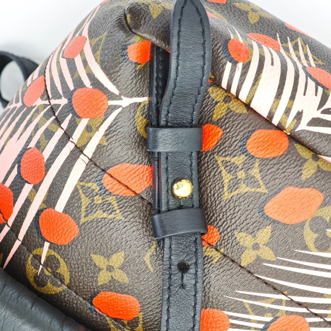 ルイ・ヴィトン パームスプリングス・バックパック M41981リュック ブラウン