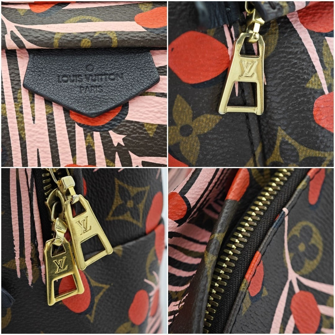 ルイ・ヴィトン パームスプリングス・バックパック M41981リュック ブラウン