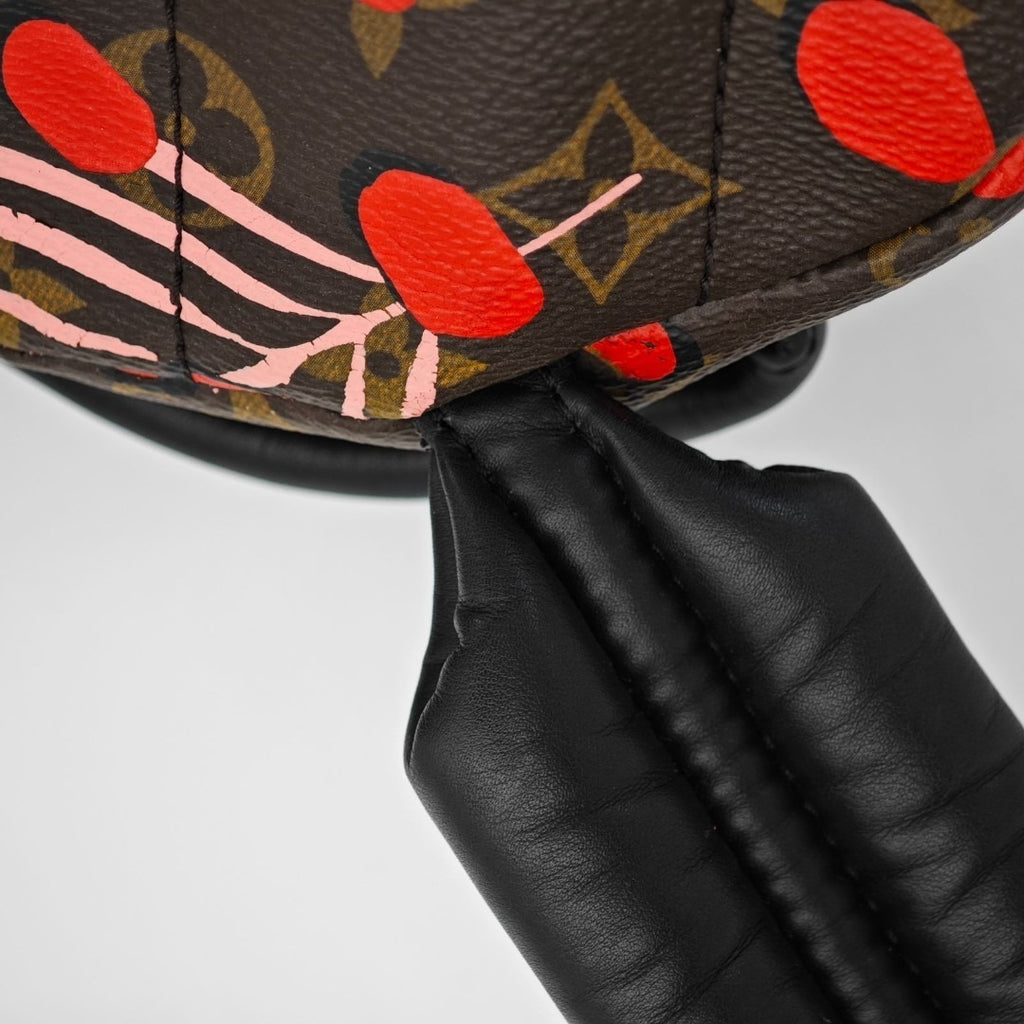 ルイ・ヴィトン パームスプリングス・バックパック M41981リュック ブラウン